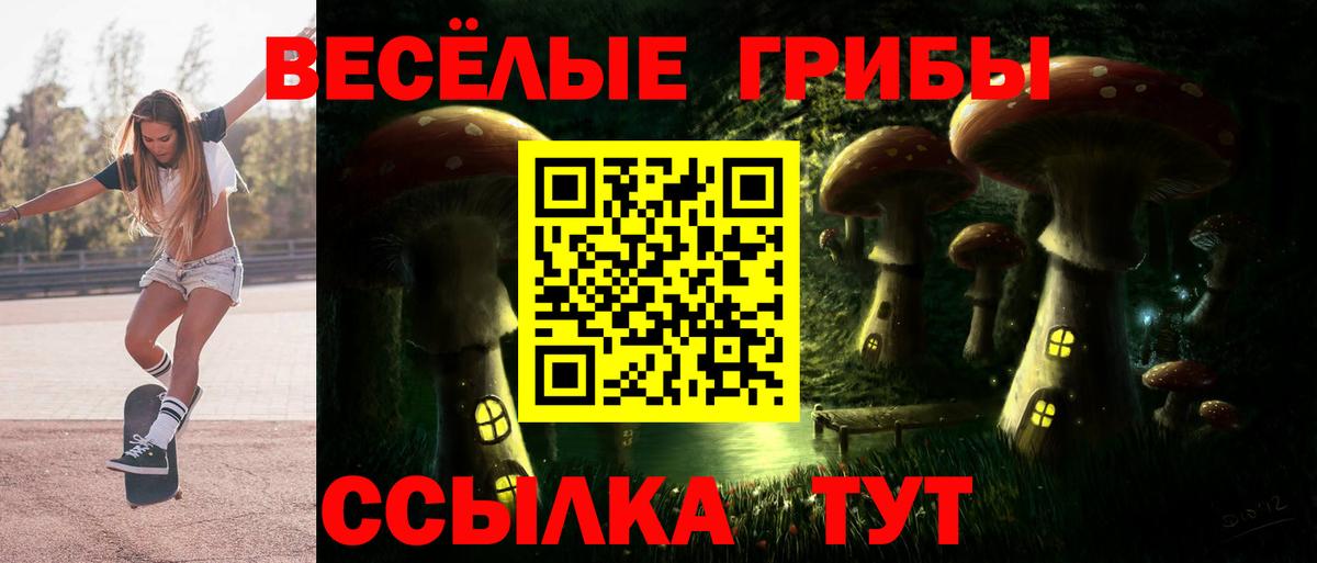 Галлюциногенные грибы MAGIC MUSHROOMS  наркотики  Псилоцибиновые грибы GOLDEN TEACHER  Кудрово  Вход с VPN 